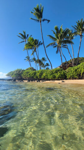 Photo of the Day: Waters of Palauea Beach